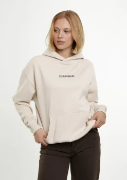 D.Franklin Classic Oversize Hoodie Ice Grey|Damen Sweatshirts|Sweatshirts