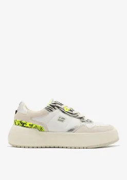 D.Franklin Court Stich White / Multi|Damen Plattform-Sneakers|Sneakers