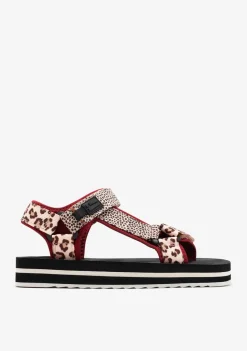 D.Franklin Forest High Strips Animal Burgundy|Damen Sandalen