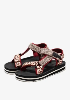 D.Franklin Forest High Strips Animal Burgundy|Damen Sandalen