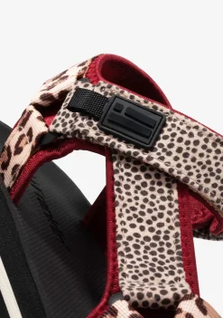 D.Franklin Forest High Strips Animal Burgundy|Damen Sandalen