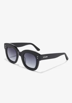 D.Franklin Holly Black / Gradient Black|Damen Runde Sonnenbrillen