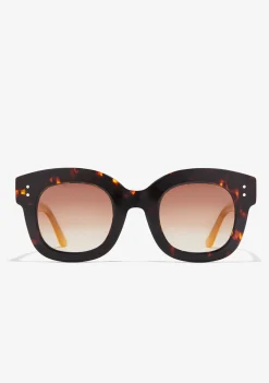 D.Franklin Holly Tort / Gradient Brown|Damen Runde Sonnenbrillen